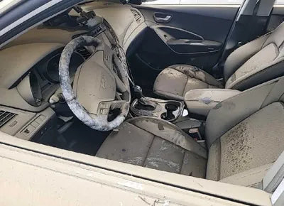 2017 Hyundai Santa FE KMHSW81UBHU723295 VIN:KMHSW81UBHU723295