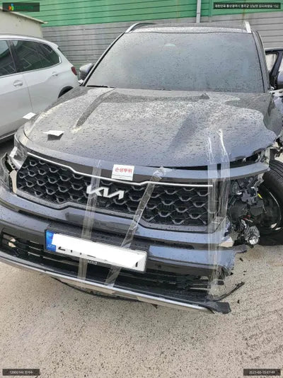 2022 Kia Sorento KNARK81GBNA120791 VIN:KNARK81GBNA120791