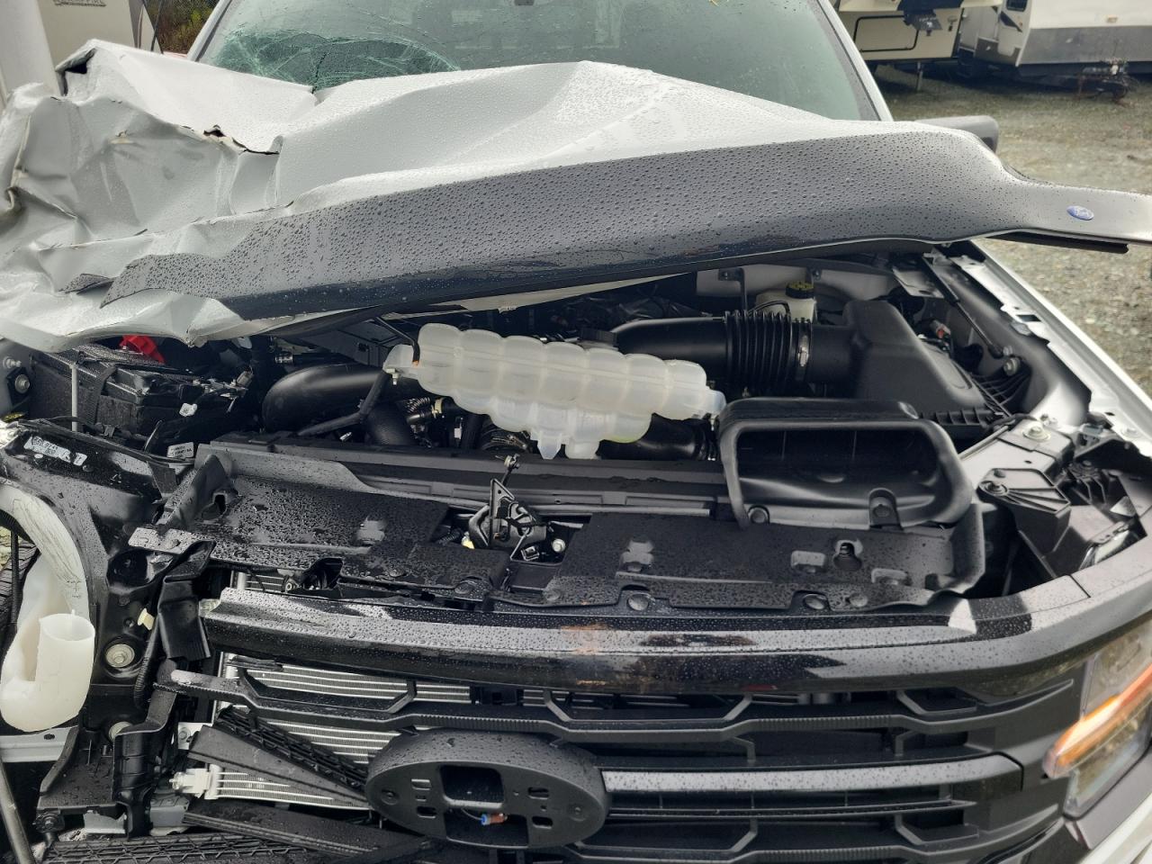 2024 FORD F150 XLT VIN:1FTFW3L84RFB56466