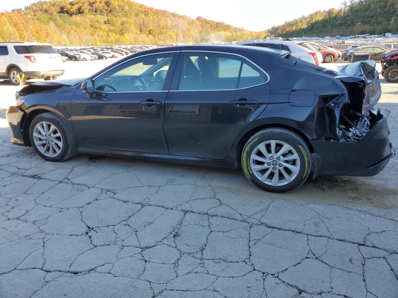2024 TOYOTA CAMRY LE VIN:4T1R11AK4RU877196