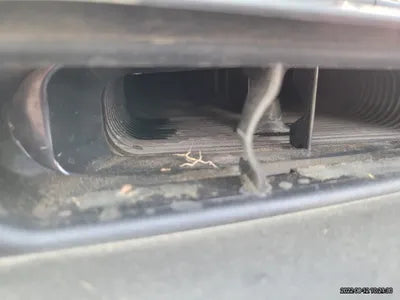 2021 Mercedes-Benz CLS 450 VIN: