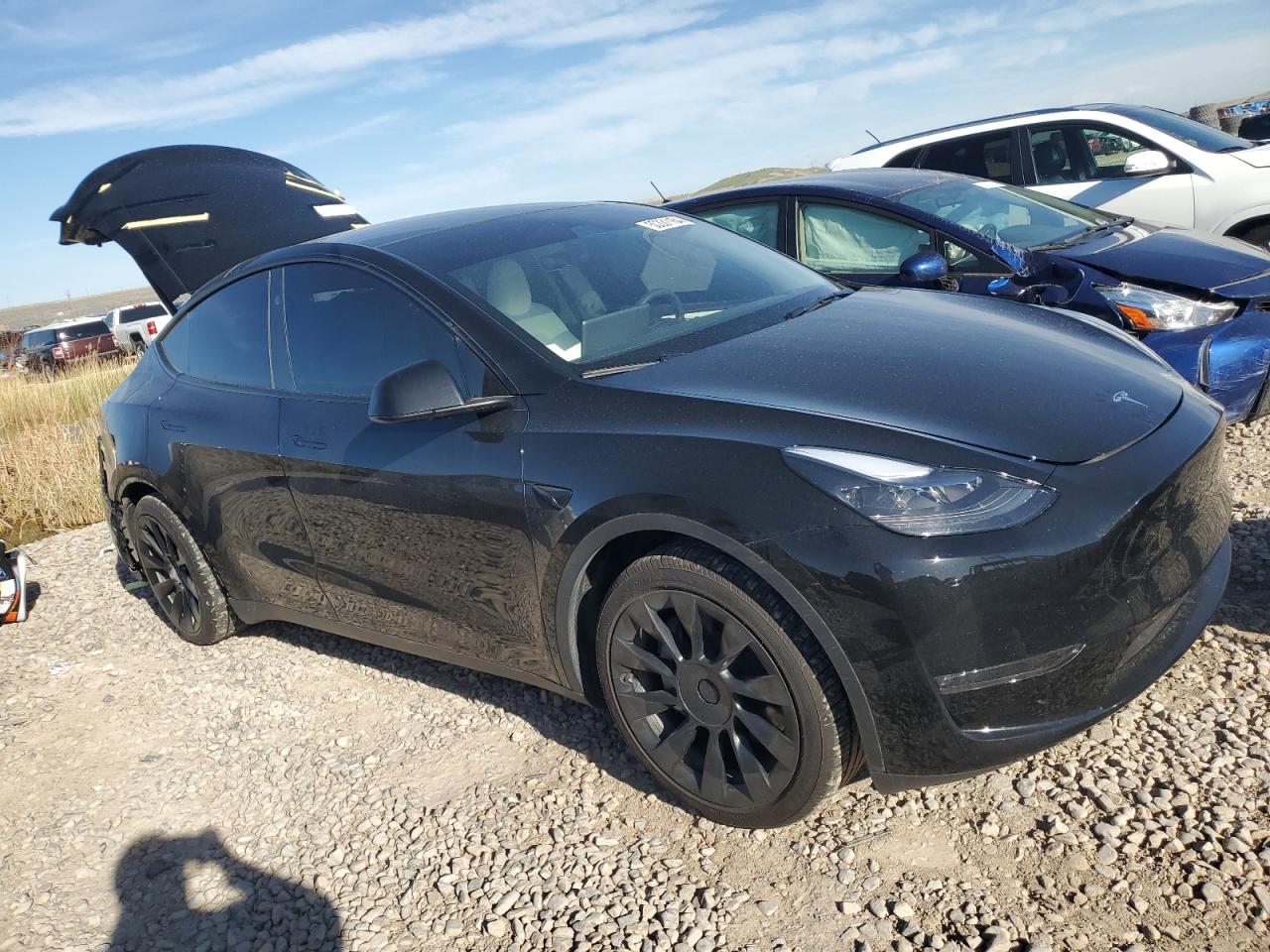 2023 TESLA MODEL Y  VIN:7SAYGAEE0PF905779