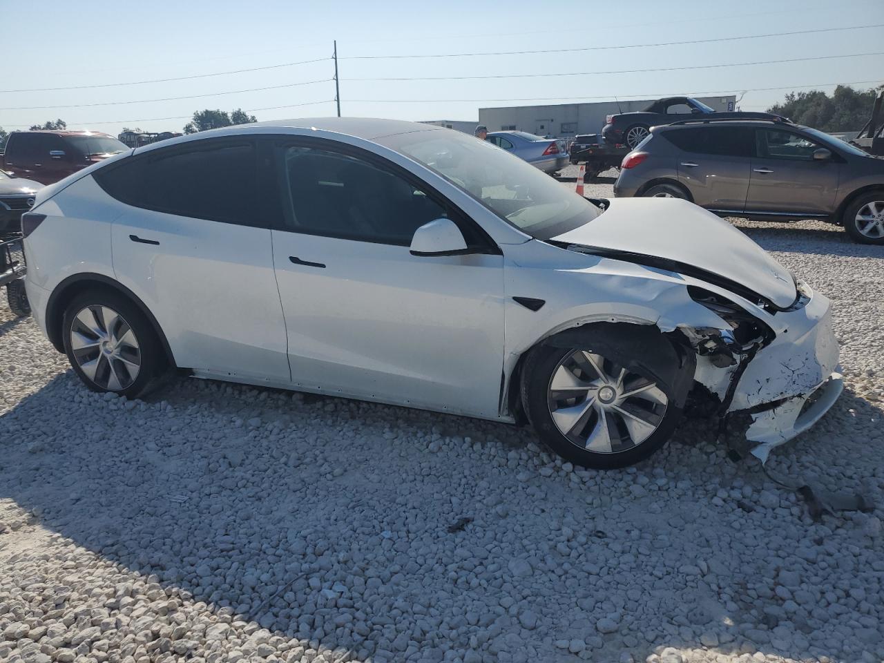 2024 TESLA MODEL Y  VIN:7SAYGDEE1RA279192
