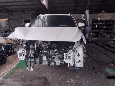 2020 Hyundai Santa FE KMHS381HGMU309411 VIN:KMHS381HGMU309411