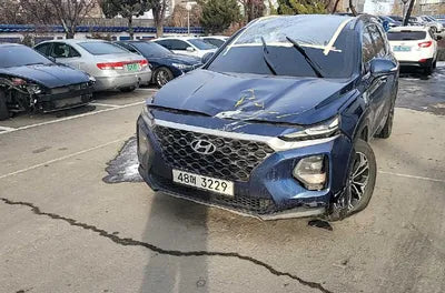 2019 Hyundai Santa FE KMHS381BBKU048278 VIN:KMHS381BBKU048278