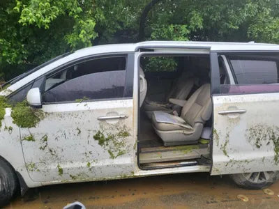 2016 Kia Carnival 334KMKNAMB81ABGS2 VIN:334KMKNAMB81ABGS2