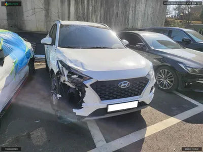 2019 Hyundai Tucson KMHJ3817HKU122219 VIN:KMHJ3817HKU122219