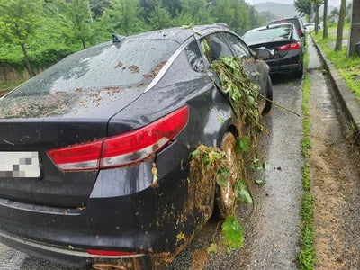 2017 Kia K5 654KMKNAGU411BHA1 VIN:654KMKNAGU411BHA1