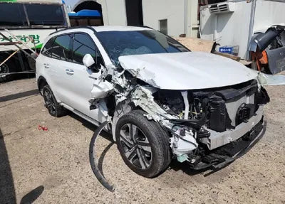 2022 Kia Sorento KNARL81GBNA063486 VIN:KNARL81GBNA063486