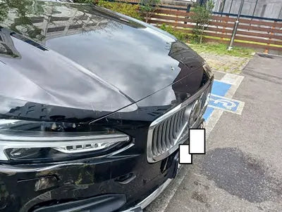 2021 Volvo S90 LVYPTL12DMP199107 VIN:LVYPTL12DMP199107
