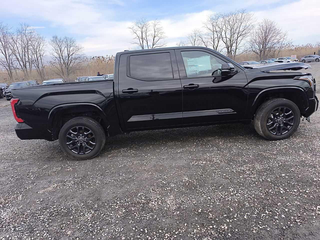 2023 TOYOTA TUNDRA CREWMAX PLATINUM VIN:5TFNA5DB8PX127429