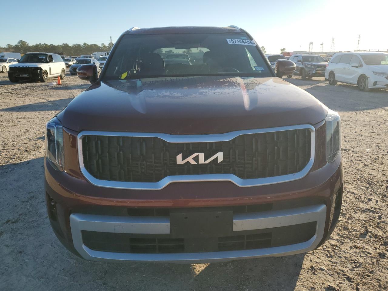 2024 KIA TELLURIDE EX VIN:5XYP34GC5RG482310