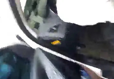 2017 Hyundai Tucson KMHJU81VBDU700972 VIN:KMHJU81VBDU700972