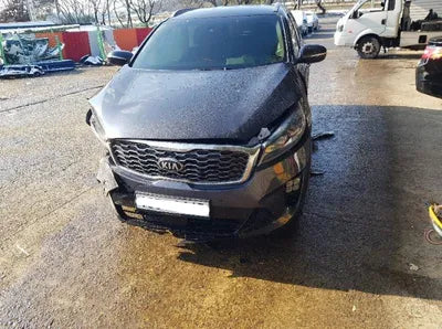 2020 Kia Sorento KNAPH81ABLA644289 VIN:KNAPH81ABLA644289
