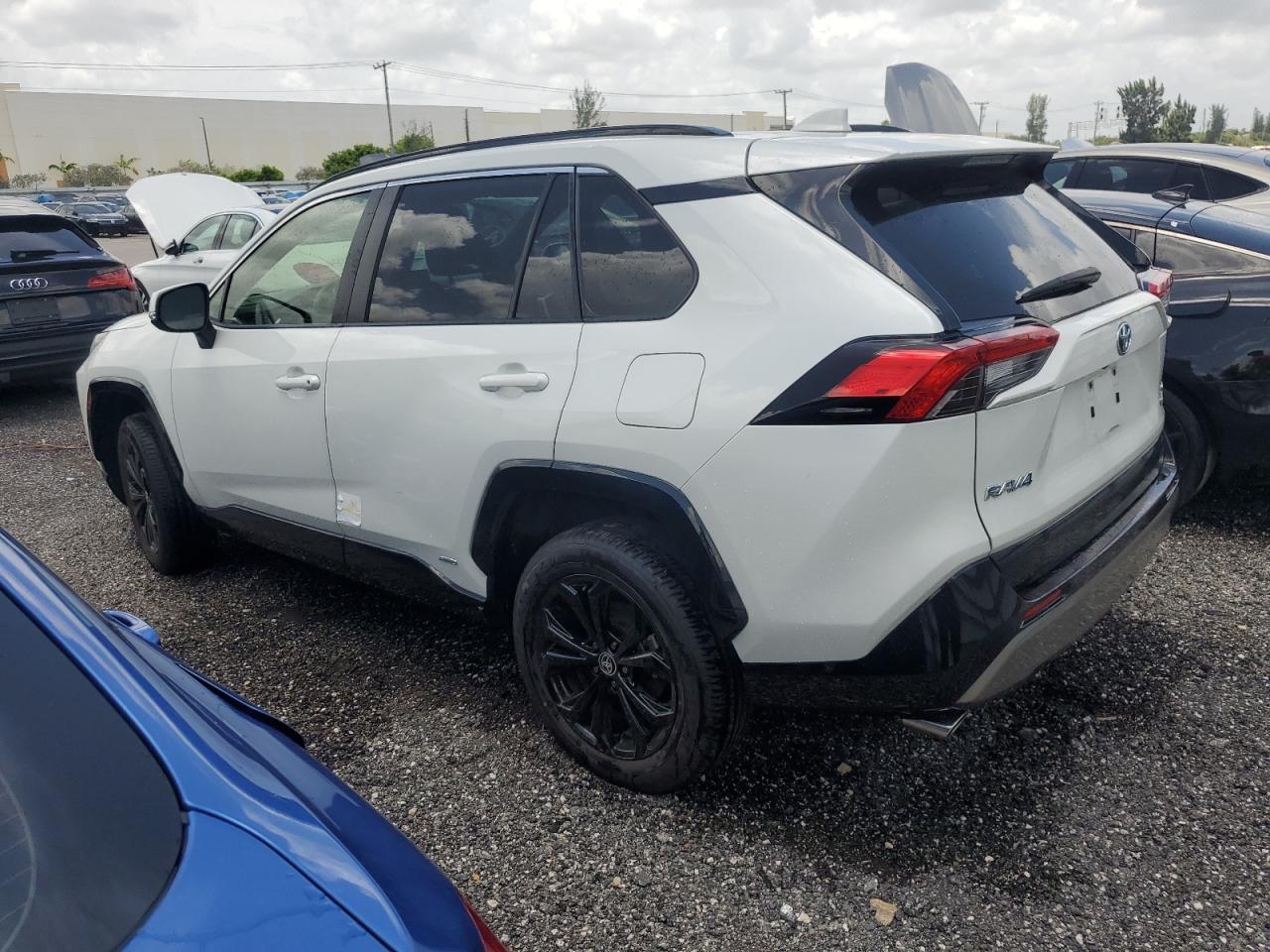 2022 TOYOTA RAV4 SE VIN:JTM16RFV6NJ018921