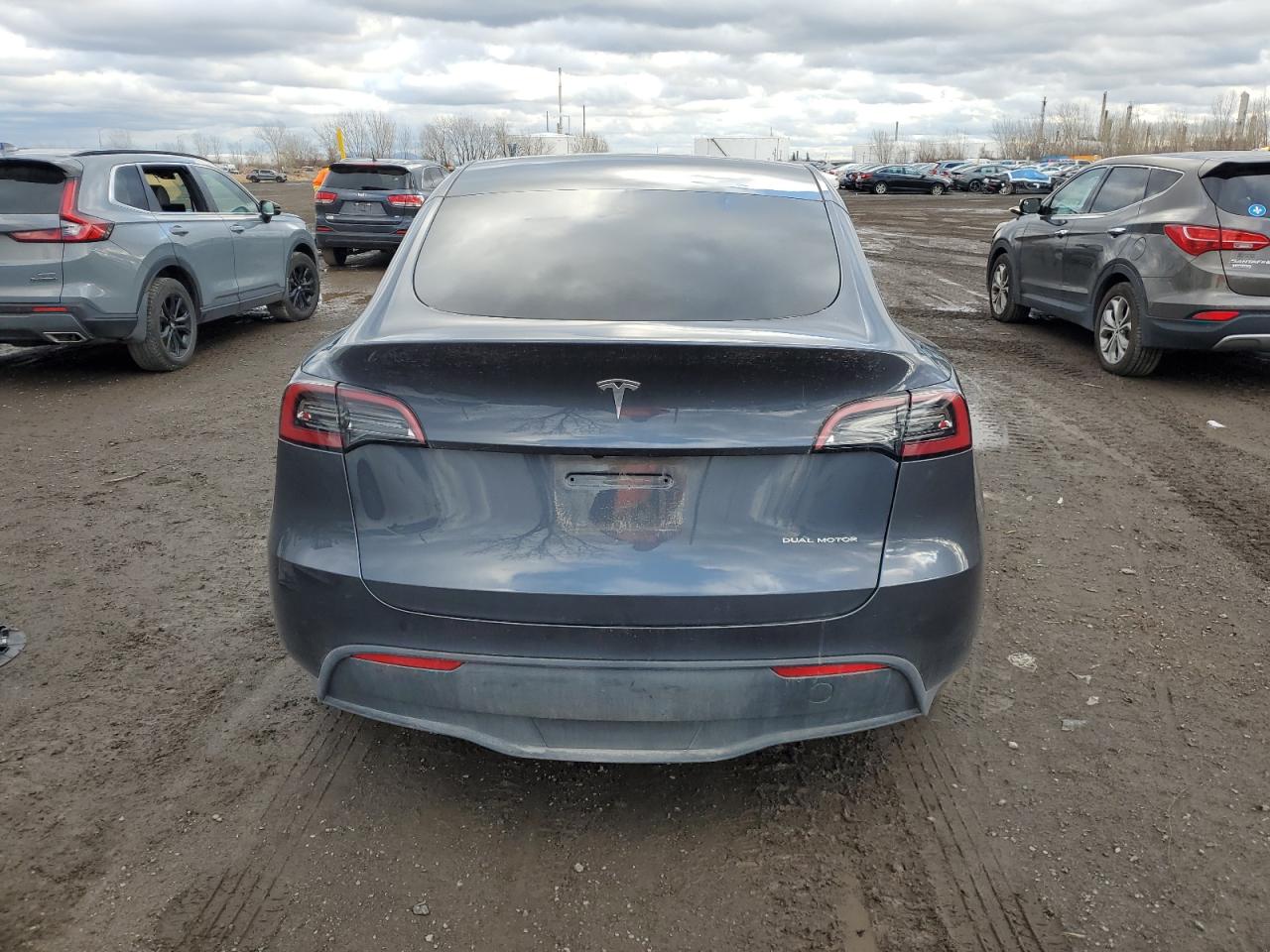 2023 TESLA MODEL Y  VIN:7SAYGDEEXPF595660