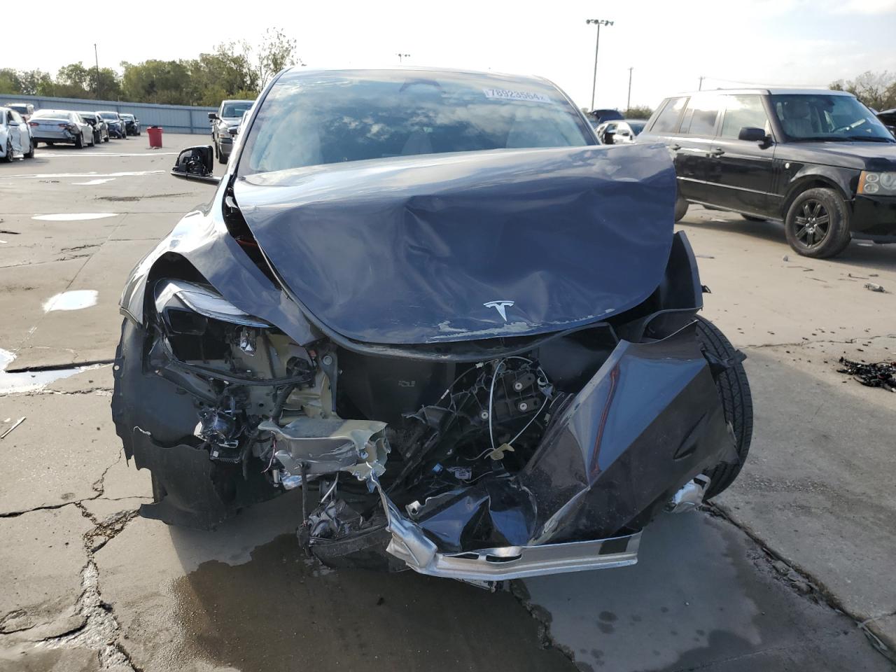 2024 TESLA MODEL Y  VIN:7SAYGDED6RF054499