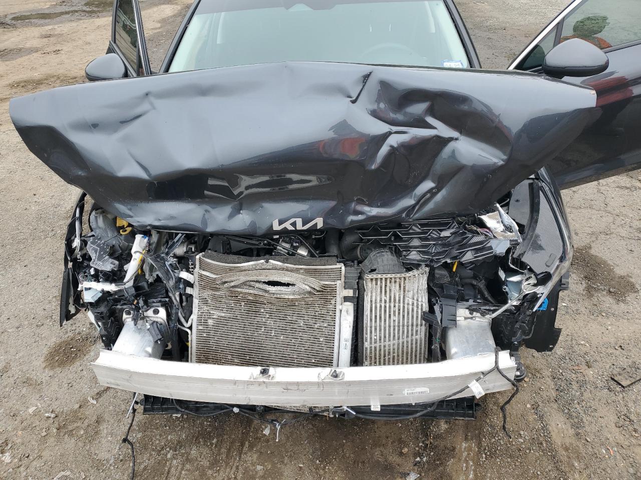 2023 KIA K5 LXS VIN:5XXG14J26PG218018