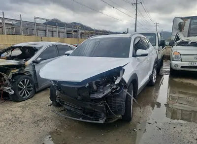 2019 Hyundai Tucson KMHJ3817GKU968089 VIN:KMHJ3817GKU968089