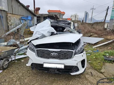 2020 Kia Sorento KNAPH81ABLA599695 VIN:KNAPH81ABLA599695