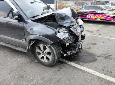 2017 Kia Mohave KNAKM814DHA155938 VIN:KNAKM814DHA155938