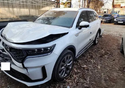 2021 Kia Sorento KNARG81BGMA025824 VIN:KNARG81BGMA025824