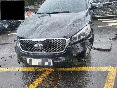 2017 Kia Sorento KNAPS81ABHA319110 VIN:KNAPS81ABHA319110