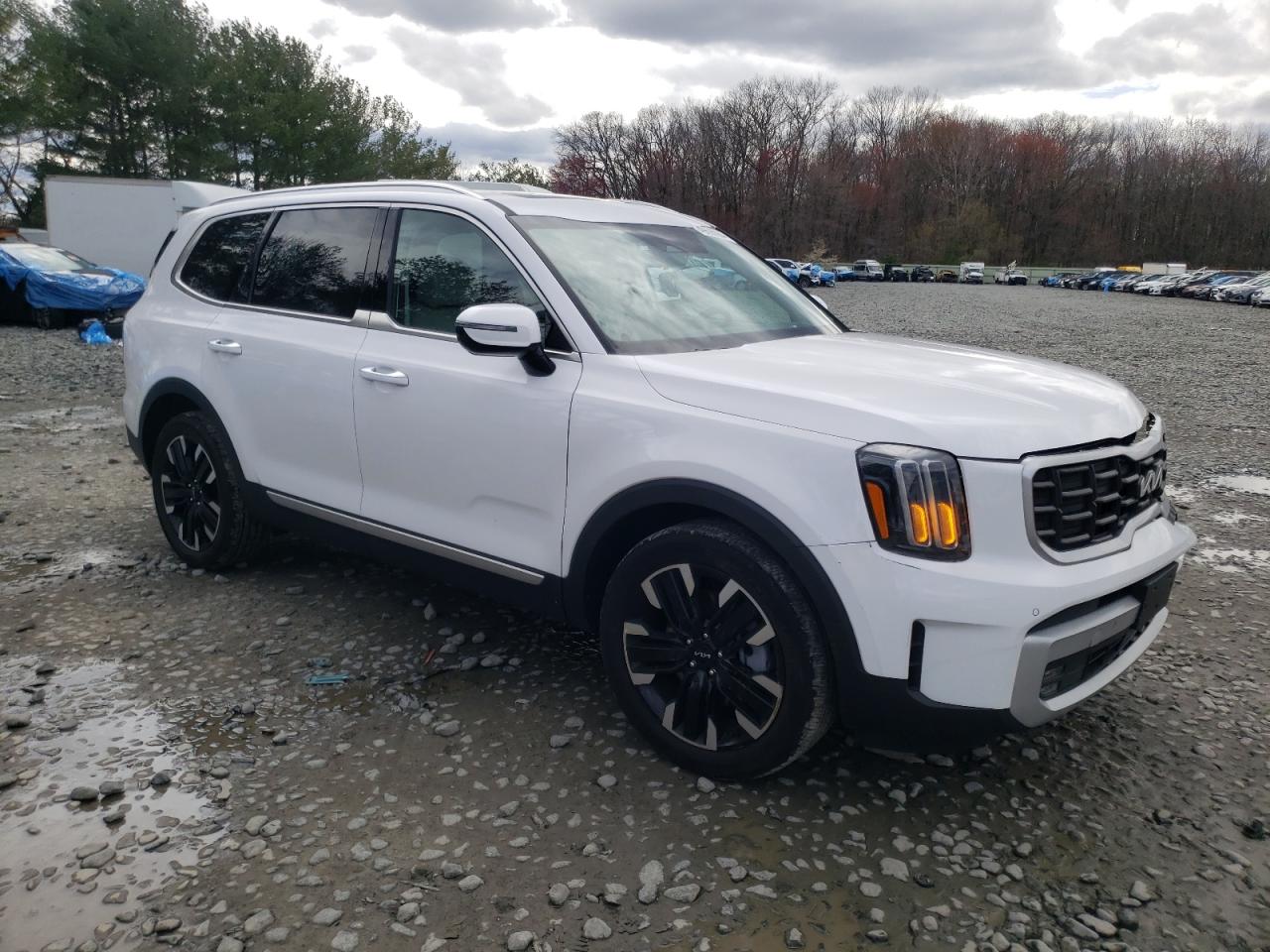 2024 KIA TELLURIDE SX VIN:5XYP5DGCXRG423277