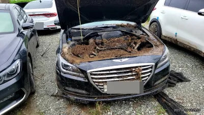 2015 acupuncture nessis 3.3 VIN: