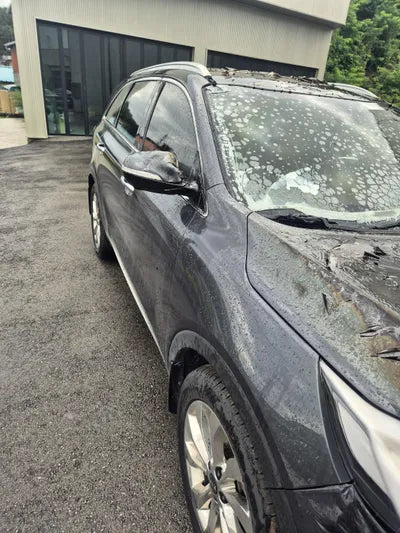 2017 Kia Sorento KNAPS81BBJA419260 VIN:KNAPS81BBJA419260