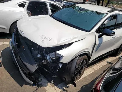 2022 Kia Sportage KNAPV81BGNK064961 VIN:KNAPV81BGNK064961