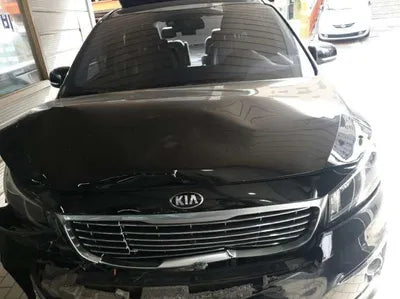 2016 Kia Carnival KNAME81ABGS231428 VIN:KNAME81ABGS231428