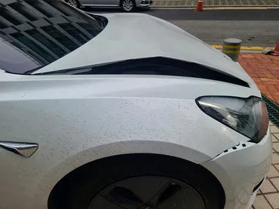 2020 Tesla Model 3 5YJ3E1EB0LF733542 VIN:5YJ3E1EB0LF733542