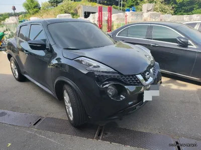 2015 Nissan Juke JN1AF58E6FT100260 VIN:JN1AF58E6FT100260
