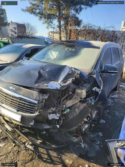 2016 Kia Carnival KNAMB81ABHS302999 VIN:KNAMB81ABHS302999