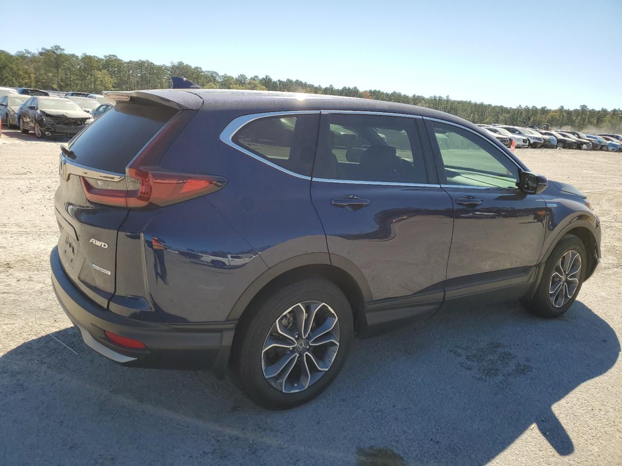 2022 HONDA CR-V EXL VIN:5J6RT6H82NL050474