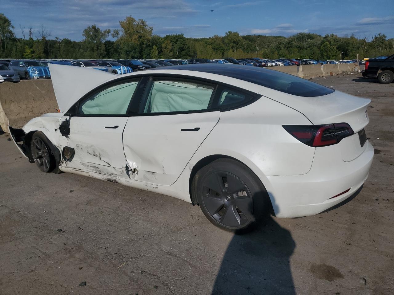 2023 TESLA MODEL 3  VIN:5YJ3E1EA8PF504183