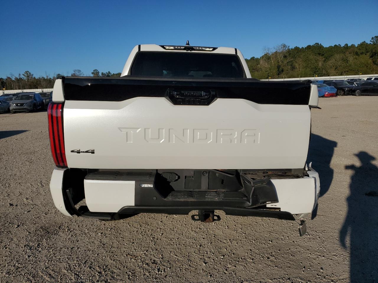 2024 TOYOTA TUNDRA CREWMAX PLATINUM VIN:5TFNC5DB3RX053866