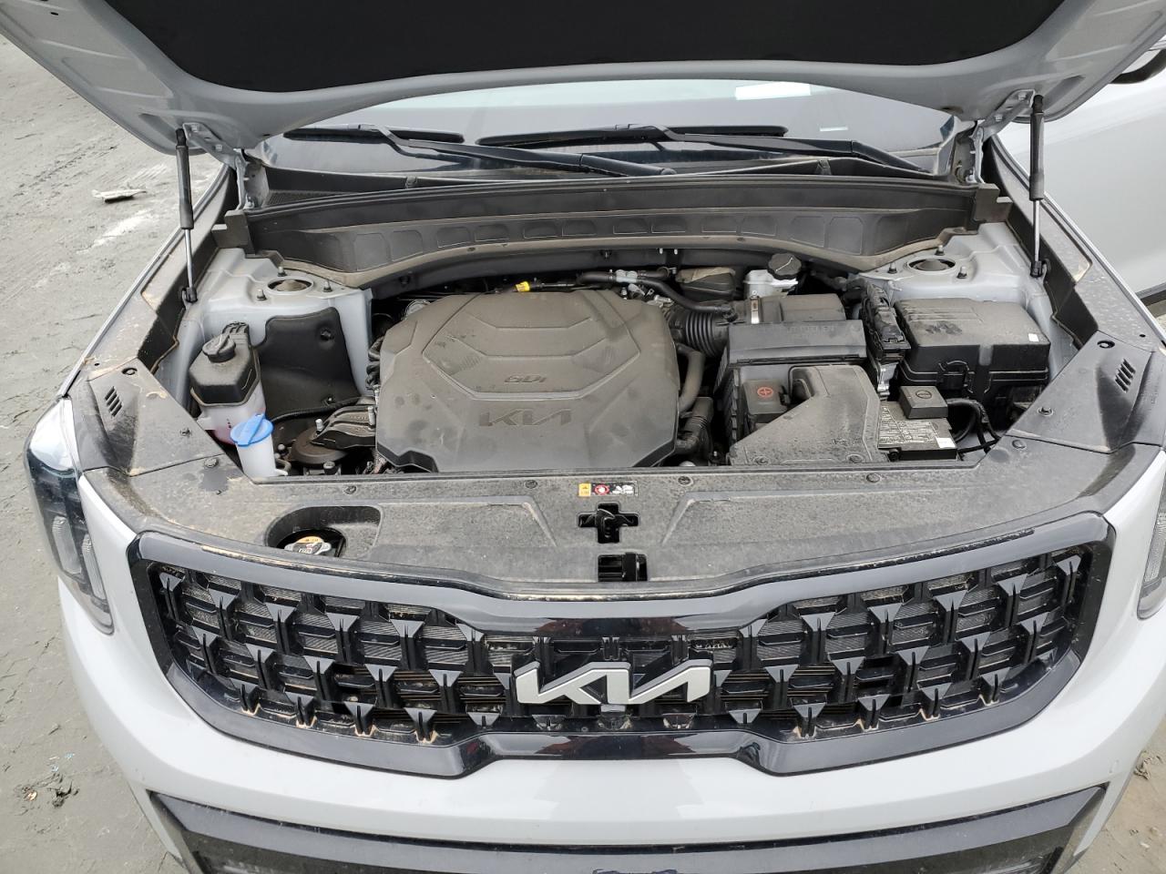 2024 KIA TELLURIDE SX VIN:5XYP5DGCXRG447353