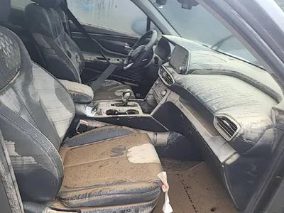 2019 Hyundai Santa FE KMHS381BBKU061027 VIN:KMHS381BBKU061027