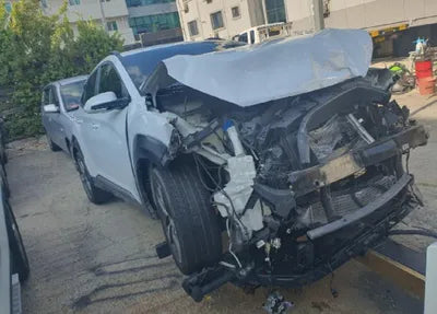 2019 Hyundai Kona KMHK7815GKU427643 VIN:KMHK7815GKU427643