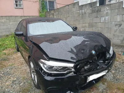 2017 BMW 520 WBAJC3109HG466585 VIN:WBAJC3109HG466585