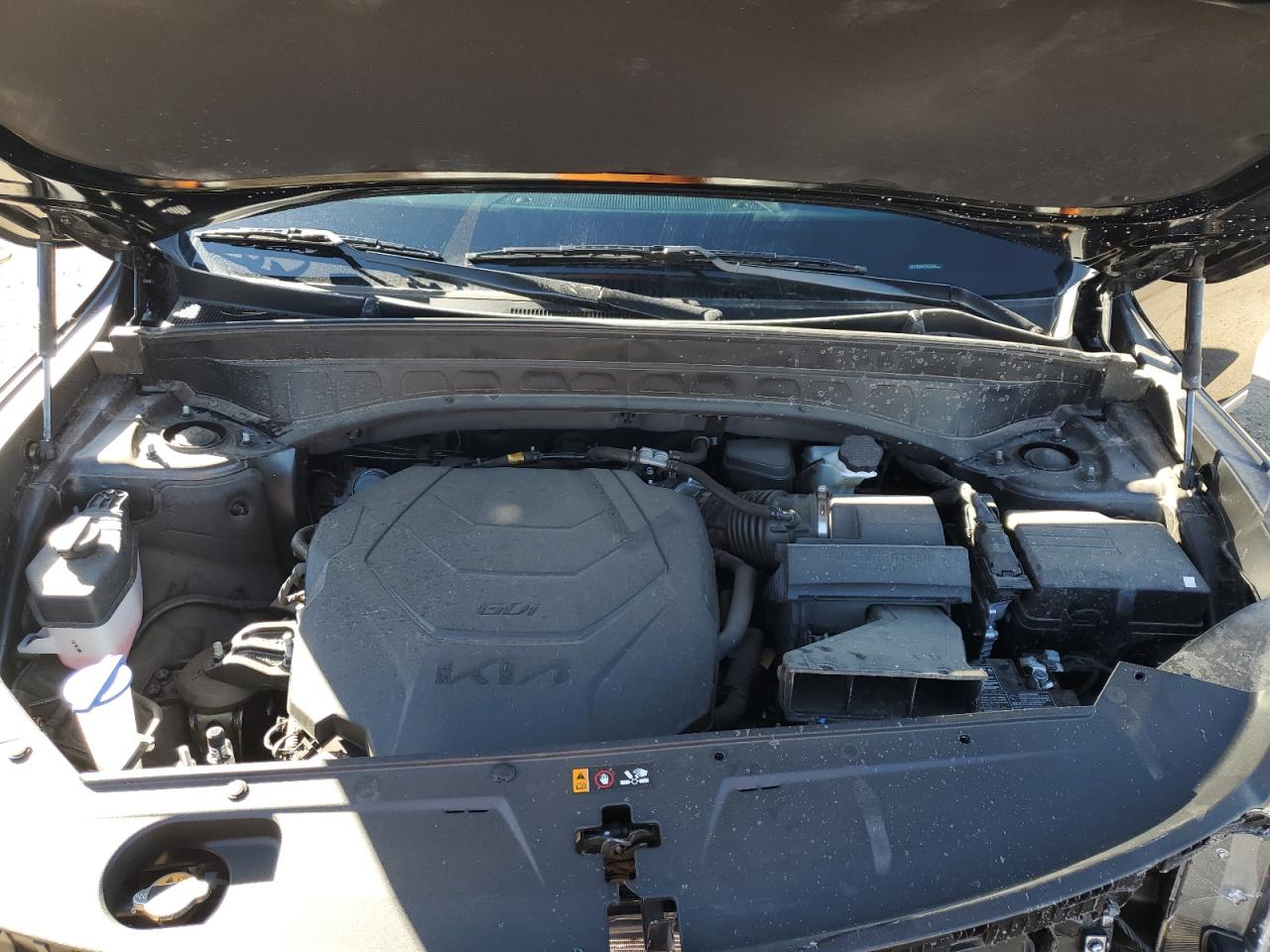 2023 KIA TELLURIDE S VIN:5XYP6DGC4PG385832