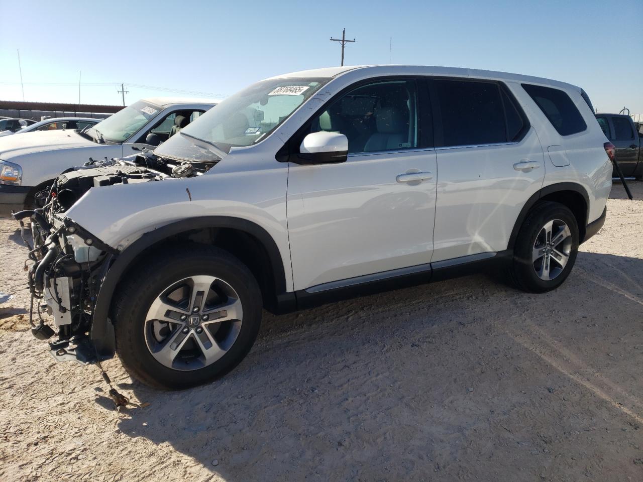 2024 HONDA PILOT EXL VIN:5FNYG1H4XRB048230