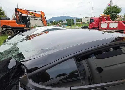2021 Tesla Model 3 5YJ3E1EB3MF951606 VIN:5YJ3E1EB3MF951606