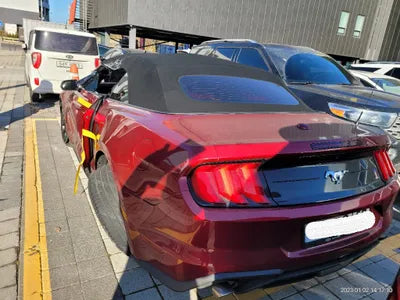 2019 Ford Mustang 1FATP8UH3K5196891 VIN:1FATP8UH3K5196891