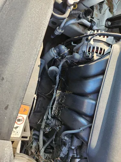2019 Kia K5 NONE VIN: