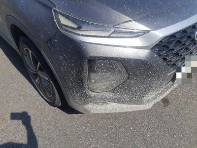 2019 Hyundai Santa FE VIN:
