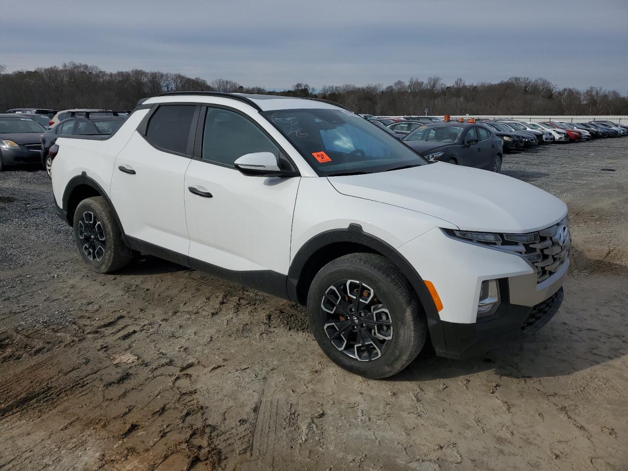 2023 HYUNDAI SANTA CRUZ SEL VIN:5NTJCDAE5PH050193