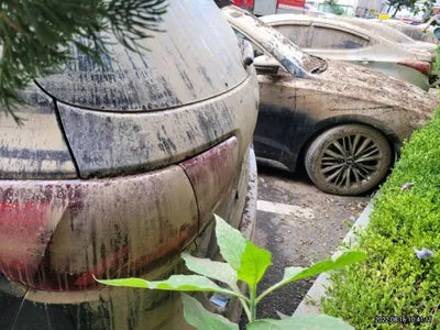 2018 Kia Sorento KNAPH81ABJA396412 VIN:KNAPH81ABJA396412